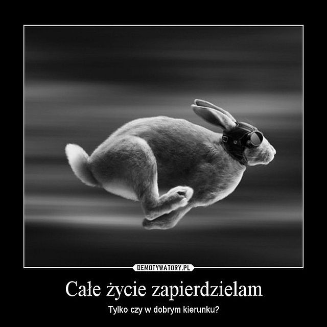 piosenka autorska: Chodźmy  - ilustracja utworu