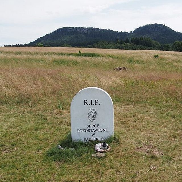 piosenka autorska: Pasterka  - ilustracja utworu