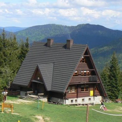 piosenka autorska: Rycerzowa  - ilustracja utworu